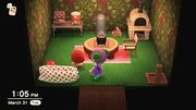 Animal Crossing: New Horizons screenshot of Ketchup's house (interior)