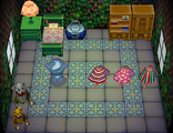 Dōbutsu no Mori e+ screenshot of Ketchup's house (interior)